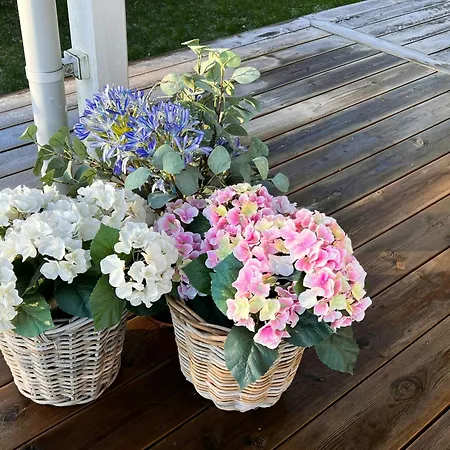 Romantic Summerhouse With Seaview Nyaraló